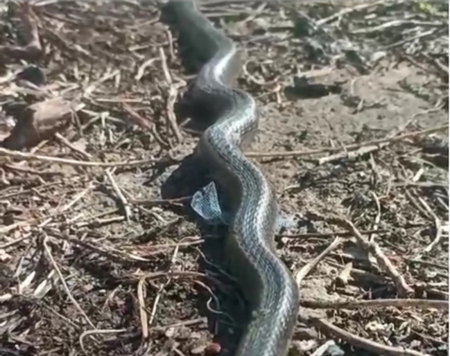 İki ildir 7 ilanla yaşayan ailə köçmək məcburiyyətində qaldı