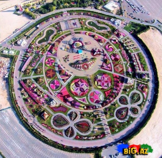 Dünyanın ən böyük gül parkı - FOTO