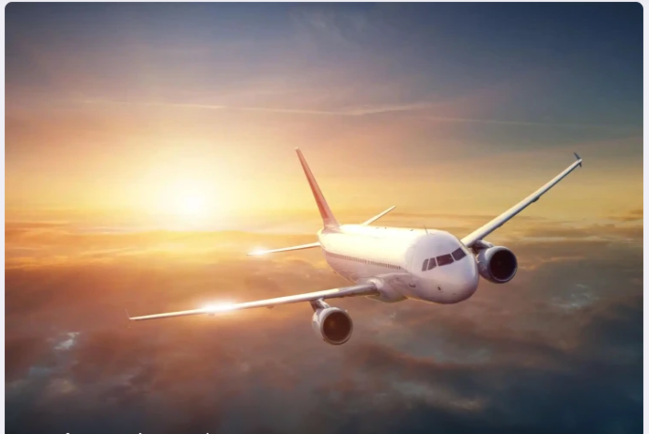 Təyyarə ilanlara görə məcburi endi - Səmada ÇAXNAŞMA