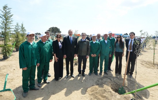 Prezident və ailəsi ağac əkdi - Fotolar