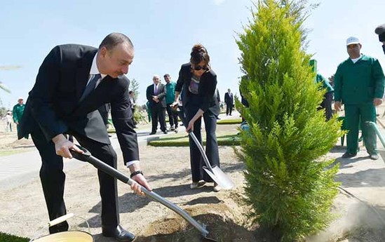 Prezident və ailəsi ağac əkdi - Fotolar