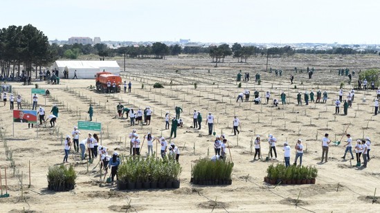 Prezident və ailəsi ağac əkdi - Fotolar
