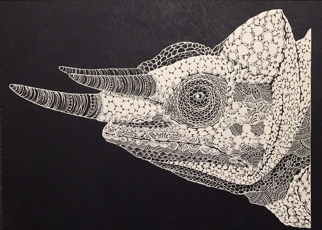 Skalpellə kağız üzərində cızdığı əsərlər görənləri heyran edir - FOTO