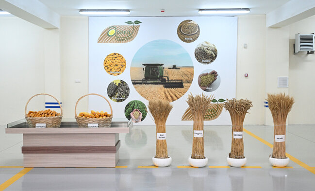 Prezident Sabirabaddadır - Fotolar - Yenilənib