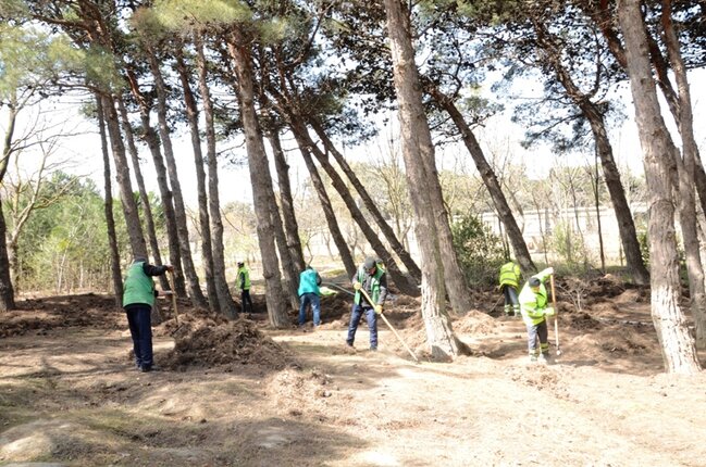 Paytaxtda ümumşəhər daxili iməcliyi keçirilib