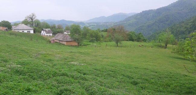 Azərbaycanda bu kənddə təkcə bacı-qardaş yaşayır - "Məktəbə tüfənglə gedirik"