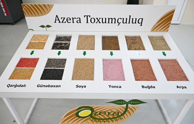 Prezident Sabirabaddadır - Fotolar - Yenilənib