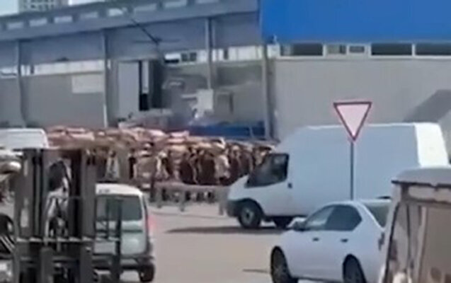 Moskva bazarında azərbaycanlılar saxlanılıb - Video