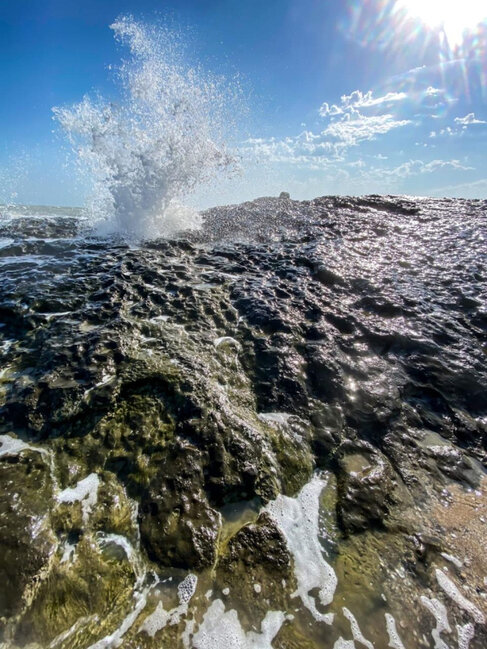 "Xəzərin mirvarisi- Buzovna qayaları" layihəsinə start verilir