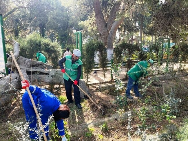 Paytaxtda ümumşəhər daxili iməcliyi keçirilib