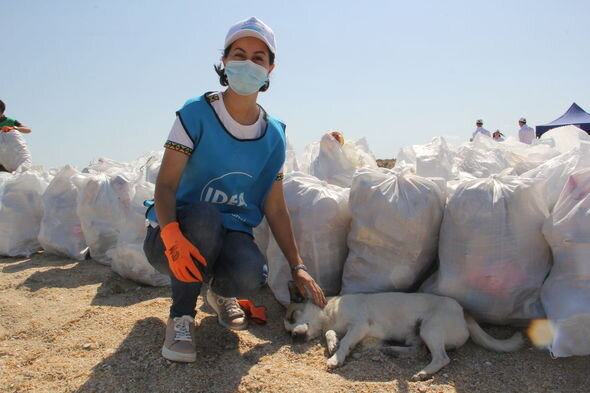 Beynəlxalq Sahilyanı Təmizlik Günü münasibətilə təmizlik aksiyası keçirilib - FOTO