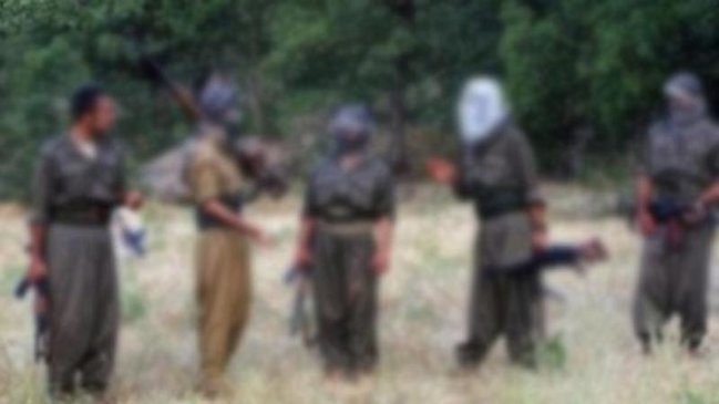 Türk əsgərlərinə təslim olan terrorçu PKK-nın ÇİRKİN planlarını İFŞA ETDİ