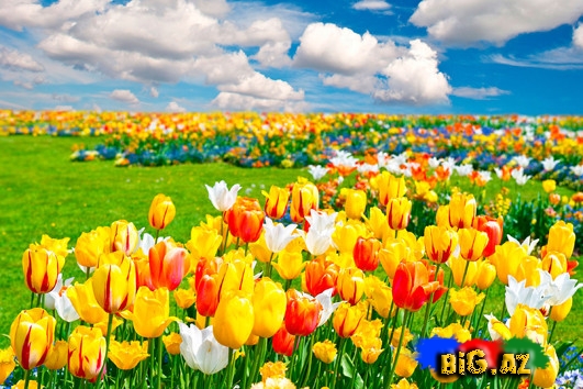 Zövqünüzü oxşayacaq mükəmməl mənzərələr - FOTO