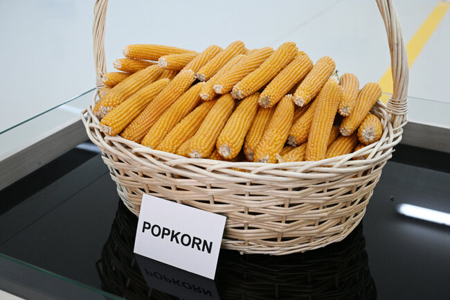 Prezident Sabirabaddadır - Fotolar - Yenilənib