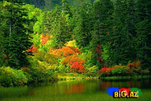 Zövqünüzü oxşayacaq mükəmməl mənzərələr - FOTO