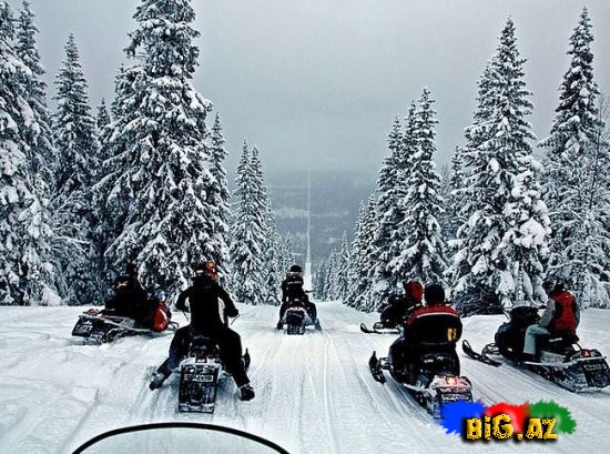 Ölkələri biri birindən ayıran sərhədlər - MARAQLI - FOTO