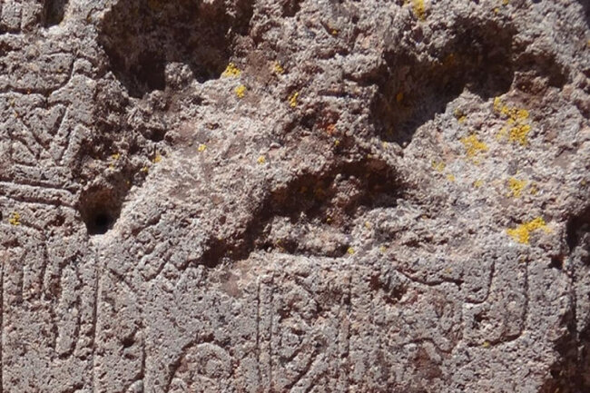 Qaya üzərində çəkilmiş ən qədim kenquru şəkli aşkarlandı