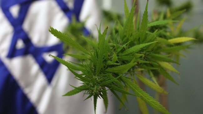 İsrail marixuananı digər ölkələrə satacaq - 100 milyonlarla dollar gəlir