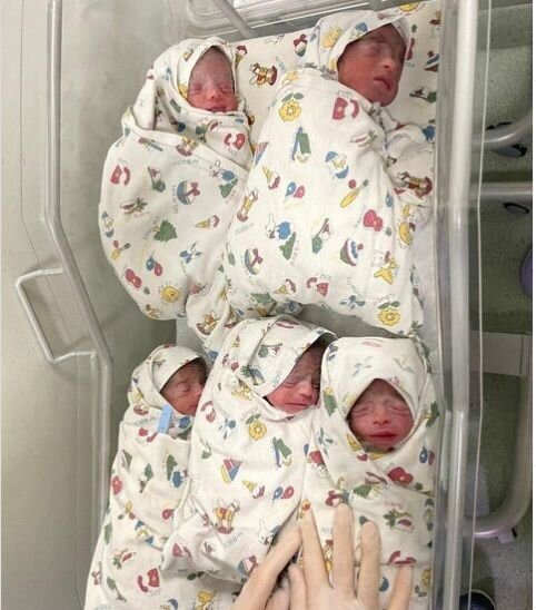 Bakıda dünyaya gələn beşəmlərin SON DURUMU açıqlandı - FOTO