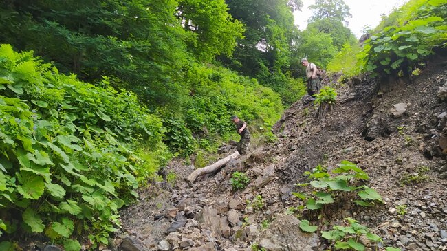 Hindistanlı turistin axtarışları davam etdirilir - Video