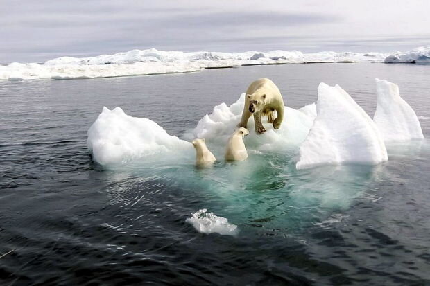 Arktikadakı buzların əriməsinə səbəb biz deyilmişik