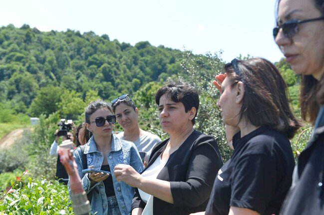"Azerçay" çay plantasiyalarına mediatur təşkil edib