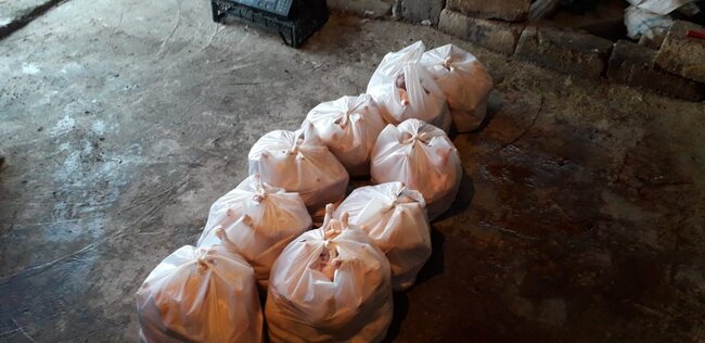 Bu xəbərdən sonra bir daha toyuq yeməyəcəksiniz - İyrənc görüntülər - foto