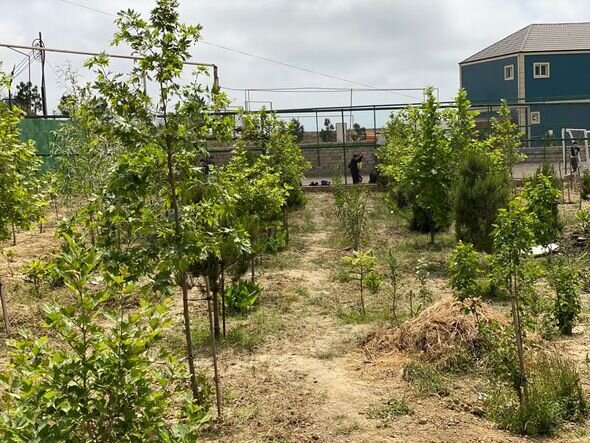 Bakıda 1500 sakinin istirahət yerini dağıtdılar: Bina tikəcəklər - FOTO