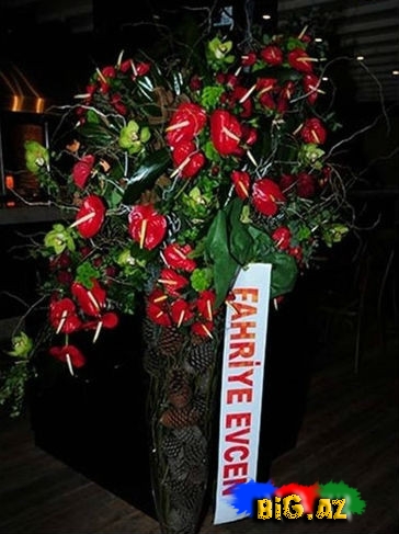 Burak Özçivit "Bali Bey"i açdı - FOTO