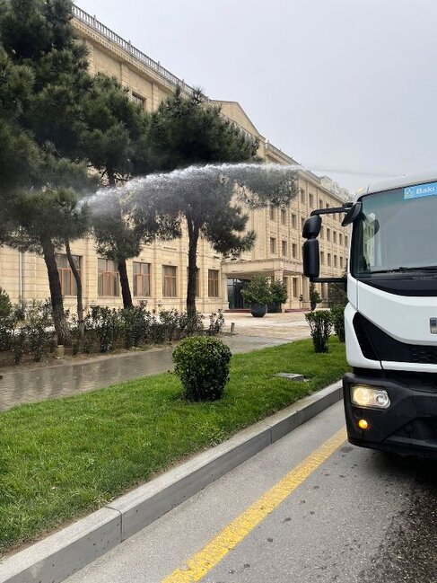 Paytaxtda ağaclar budanır və yuyulur