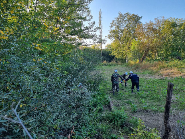 Azərbaycanda 3 yaşlı uşaq meşədə itkin düşdü