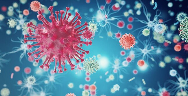 Doqquz ay koronavirusun 21 mutasiyası ilə yaşadı