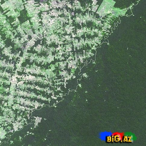 Hələ belə sərhəd görməmişdiniz