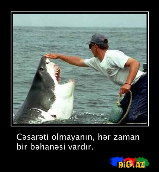 Gözləriniz gözəl sözlər oxusun - FOTO