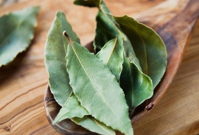 Dekabrda dörd gün DƏFNƏ YARPAĞI YANDIRIN: Həyatınızın necə dəyişdiyini görün...