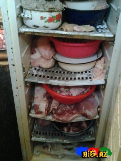 Bakının bu kafesində qorxulu faktlar aşkarlandı - FOTO