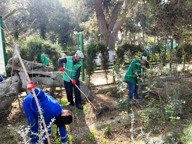 Paytaxtda ümumşəhər daxili iməcliyi keçirilib