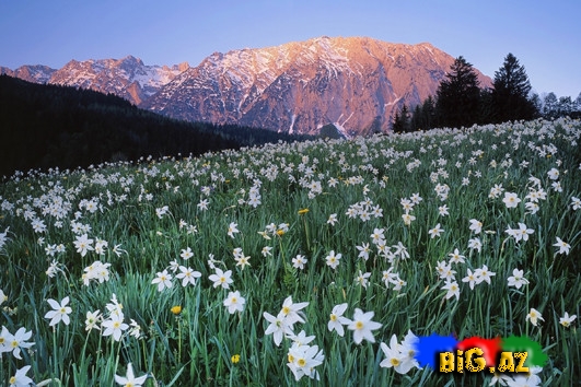Zövqünüzü oxşayacaq mükəmməl mənzərələr - FOTO