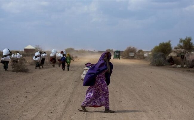 Somali əhalisinin beşdə biri quraqlıqdan əziyyət çəkir