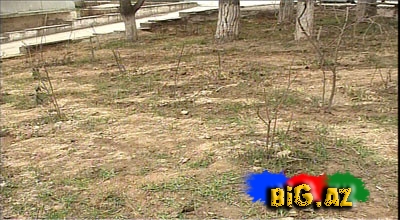 Bakının mərkəzində 1 sot torpağın qiyməti 189 min manatadır-VİDEO