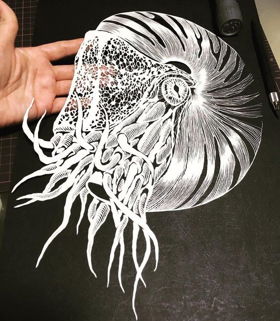 Skalpellə kağız üzərində cızdığı əsərlər görənləri heyran edir - FOTO