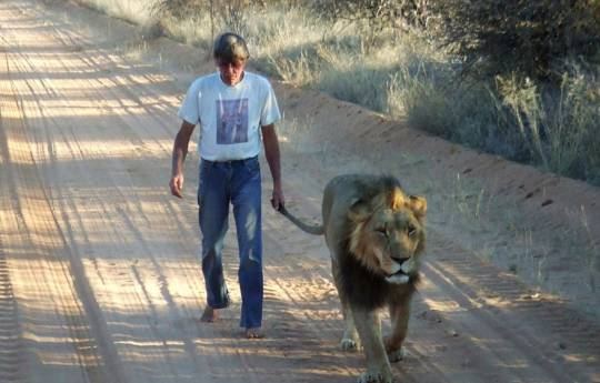 11 ildir aslanla dostluq edən adam - FOTO