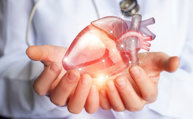 Ürək-damar xəstəlikləri riskini azaldan 10 qida
