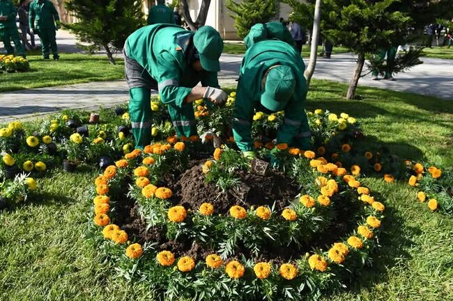 Paytaxtda növbəti daxili iməclik keçirilib