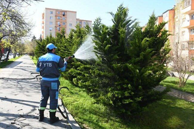 Paytaxtda növbəti daxili iməclik keçirilib