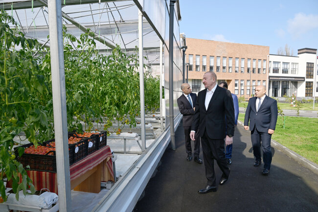 Prezident Lənkərana getdi - Fotolar