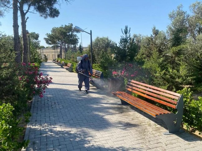 Paytaxtda növbəti daxili iməclik keçirilib