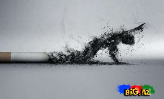 Siqaretin faydası tapıldı