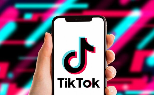 Azərbaycanda 390 min video TikTok-dan silinib