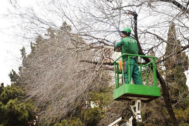Güclü yağışdan sonra paytaxtda genişmiqyaslı daxili iməclik keçirilib